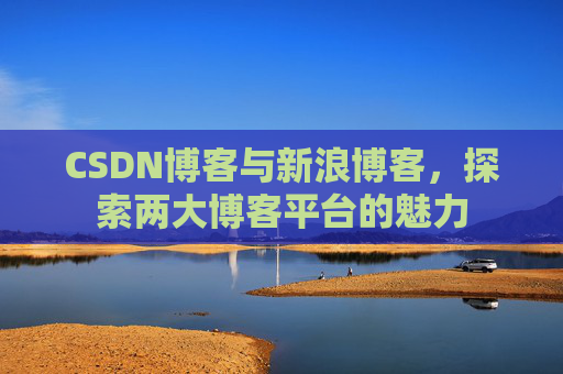 CSDN博客与新浪博客,探索两大博客平台的魅力